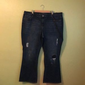 Lane Bryant Low Rise Boot jeans